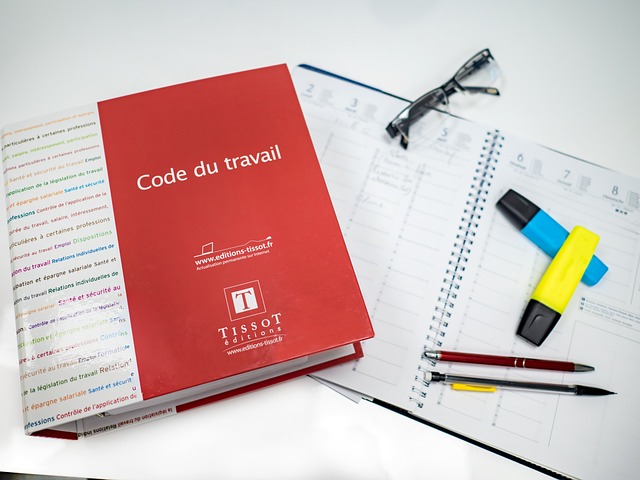 La Défense des Droits Constitutionnels et leur Application Juridique