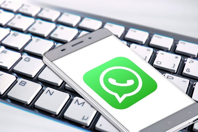 Le rôle des avocats dans le système judiciaire